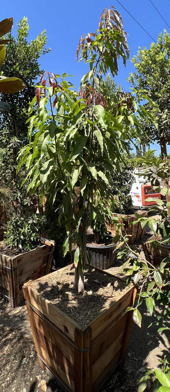 5E5D42C3-F115-46F5-9AB1-B9BA8337FCD1