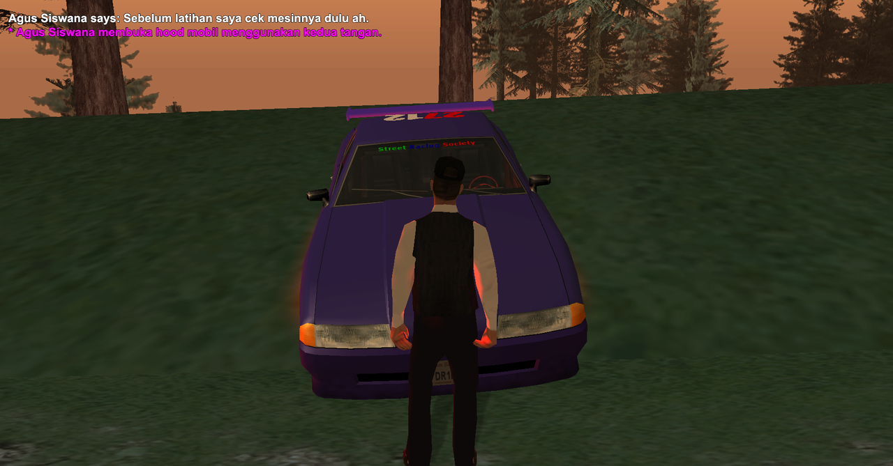 SRS6-1.png