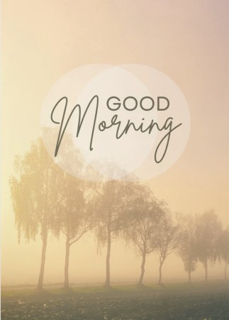 vartotojo kelta nuotrauka