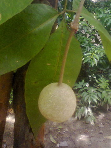 Photo0125_001