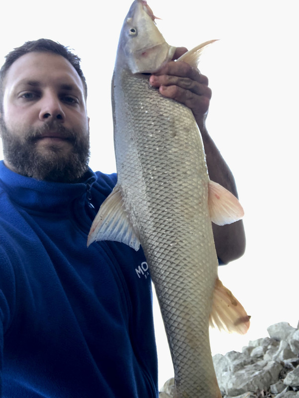 5B8577D4-755F-469D-8E49-7FEFEEC966DD