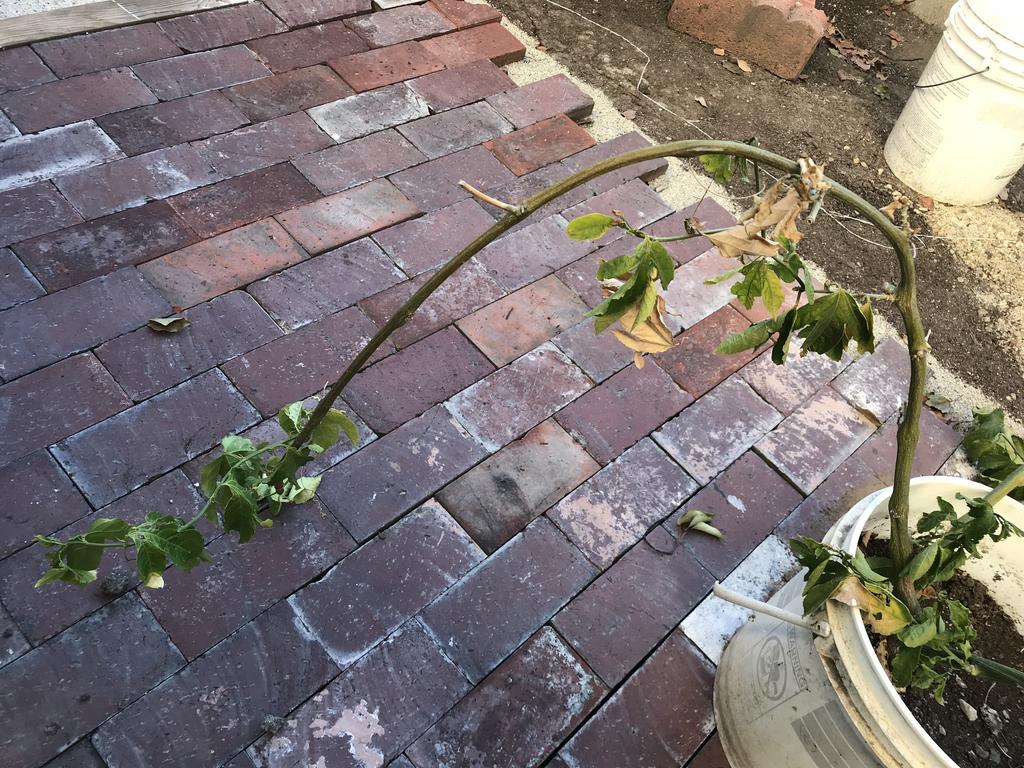 C350B1C0-17D9-4797-8AF0-2D7DEC9ACCBB