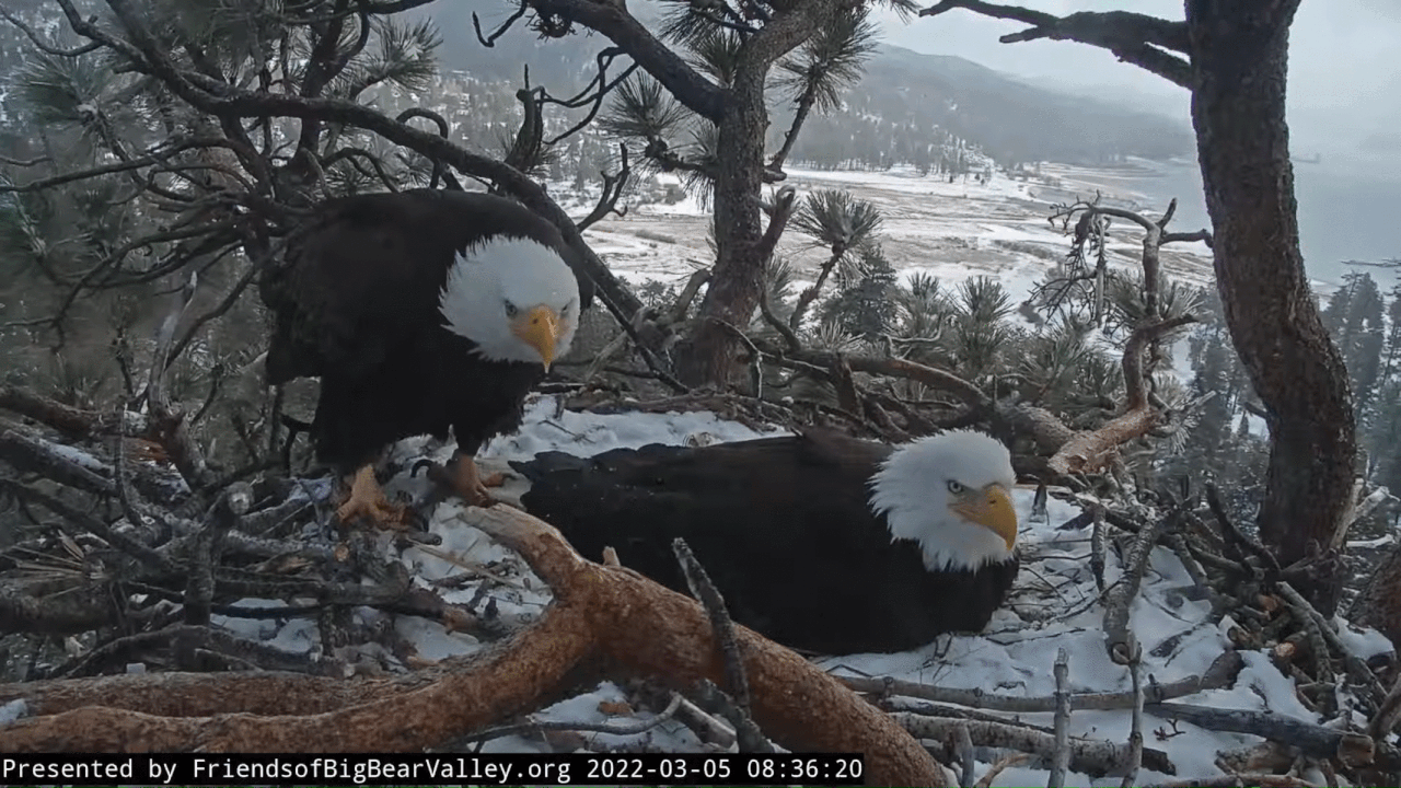 Webp.net-gifmaker (1)