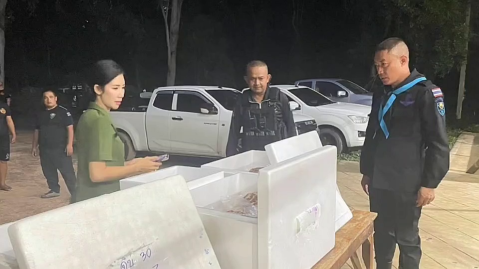 vlcsnap-2025-10-06-19h42m11s778