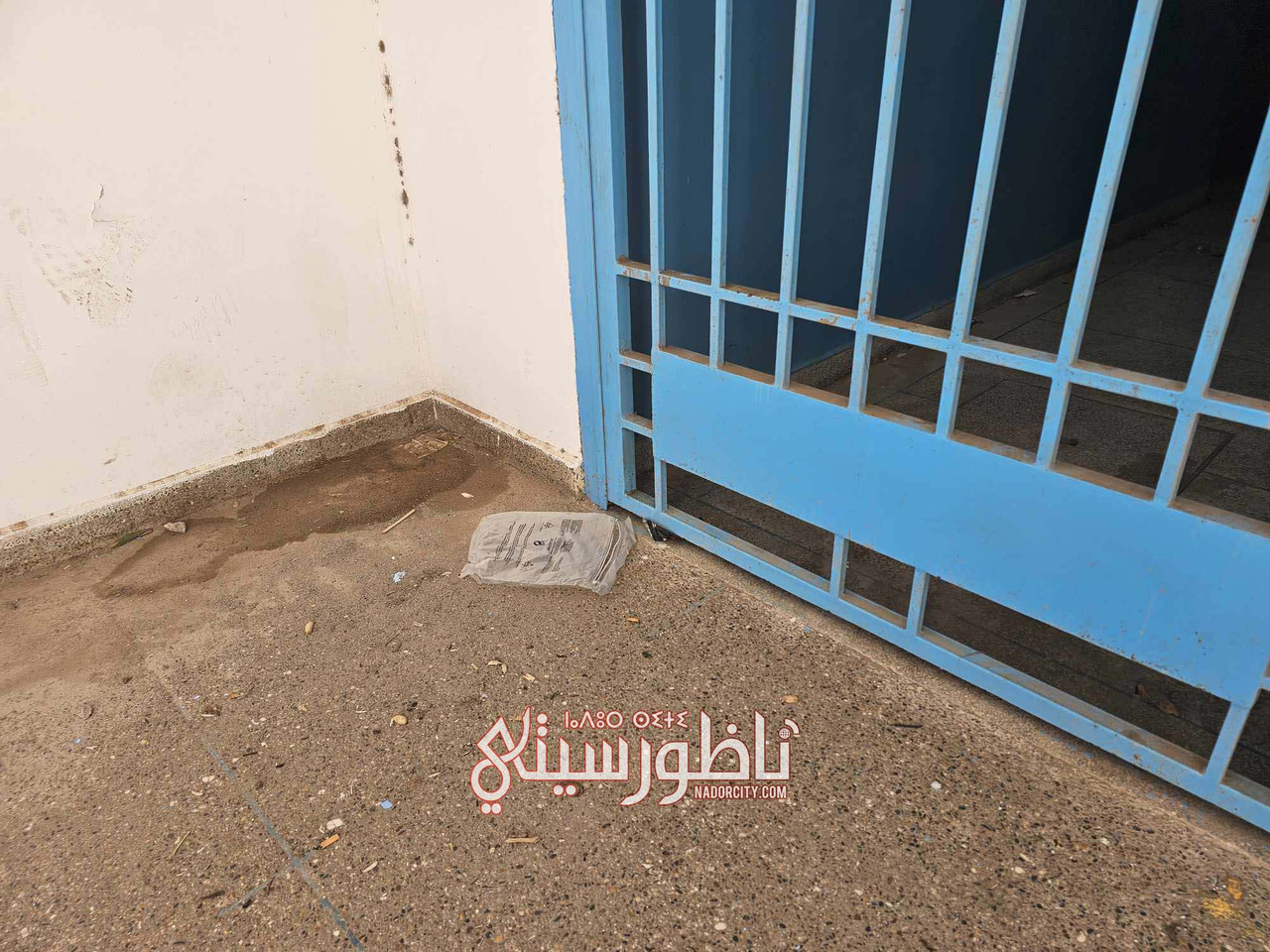 576195593-808493698724428-4589746203353917670-n