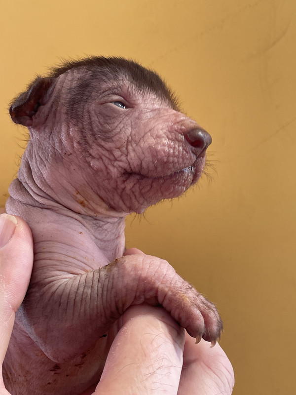 21602A20-9F2C-43EF-8A15-A8131FF1AE05