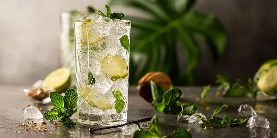 Tequila Mojito  A New Take on the Classic