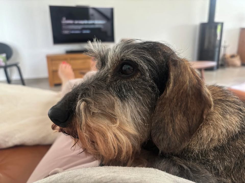 [Image: 521952702-718599594431145-4258060204219176037-n.jpg]