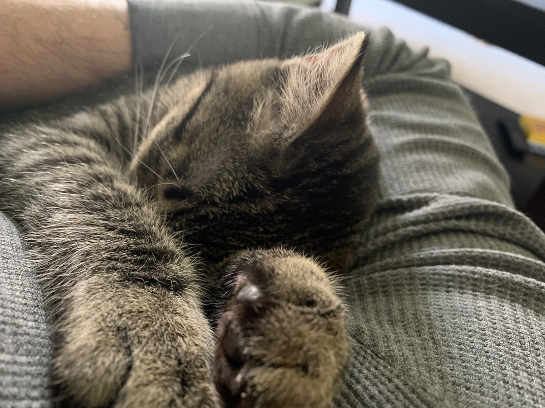 CE56F81A-F494-43FA-9C63-1A76BD4B5D2E