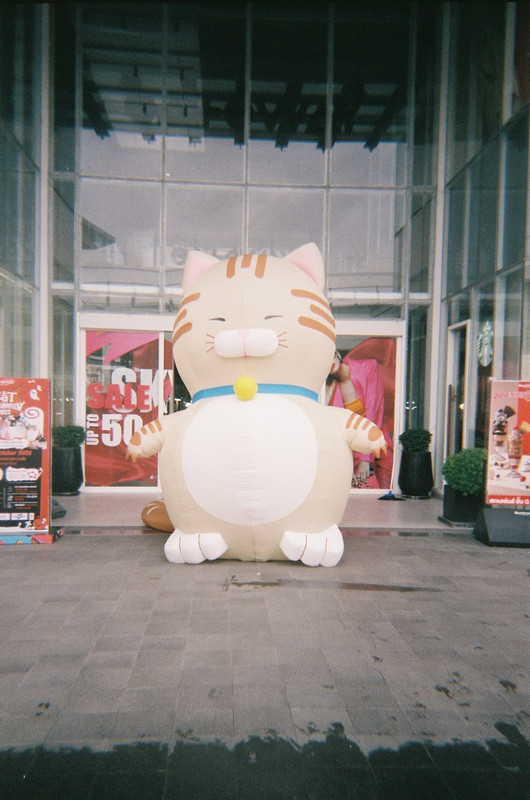 Fuji-46-resize