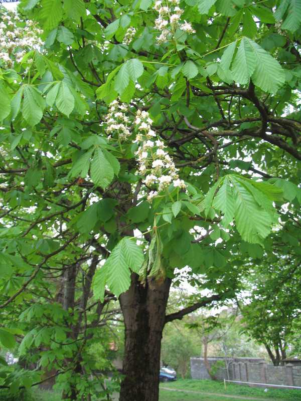 29 апреля 2024 126