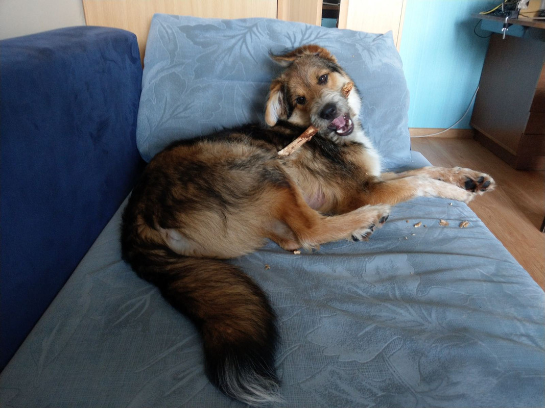 изображение_viber_2020-06-29_17-52-10