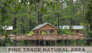 Pine Trace Natural Area General