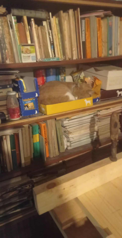 599338291 1889961718399059 6136964297985152707 n