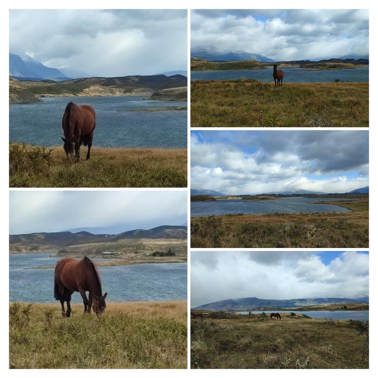 ATRACTIVOS DE PUERTO NATALES Y SUS ALREDEDORES - ARGENTINA INFINITA II/ TORRES DEL PAINE (8)