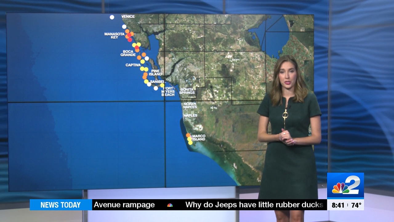04.08 - 13.30.00 - NBC 2 News Today - Saturday  ᴺᵉʷ..ts_snapshot_00.17.33.268