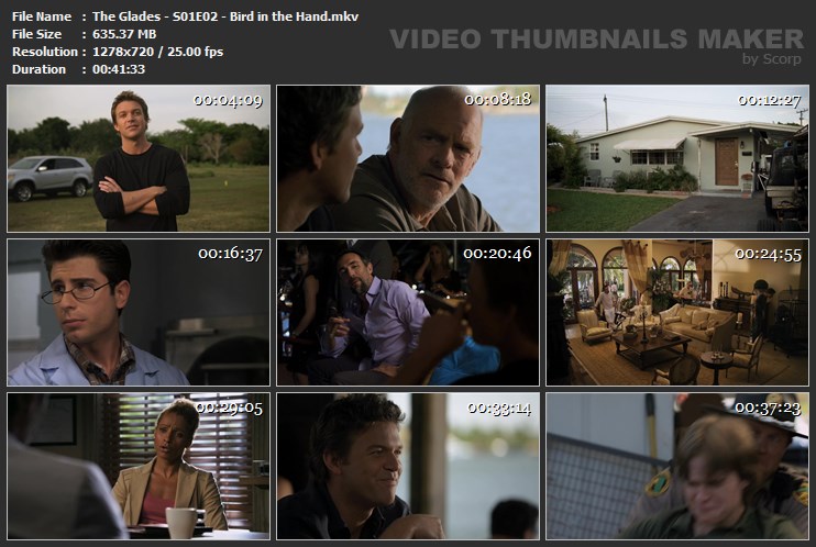 The Glades - S01E02 - Bird in the Hand.mkv