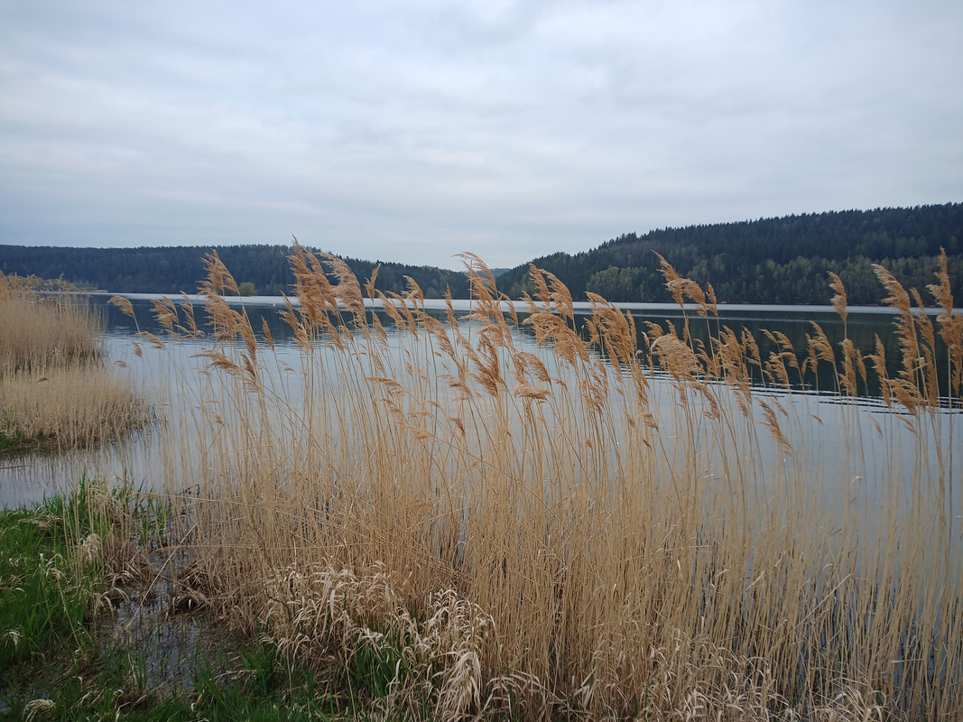 IMG_20230429_193652_086