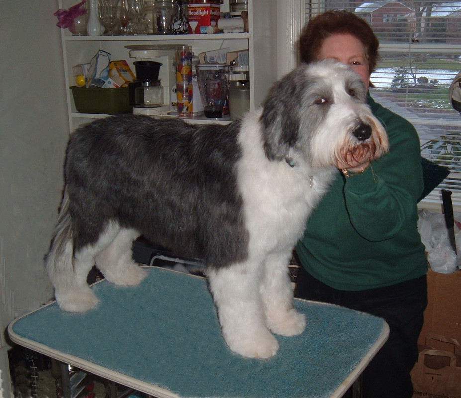 91F44E73-E7E3-4A6A-AFDC-1436848BF7EF