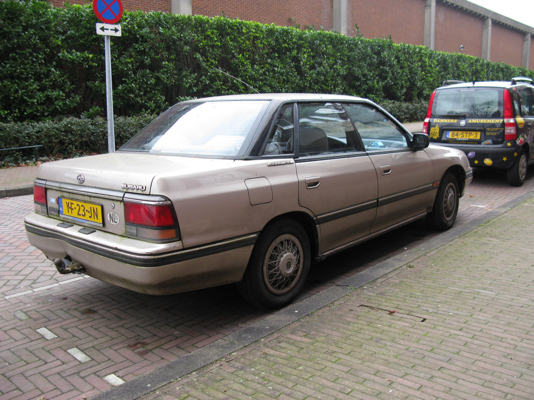 IMG-6618.jpg