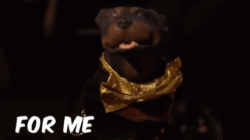 triumph-triumphinsultcomicdog