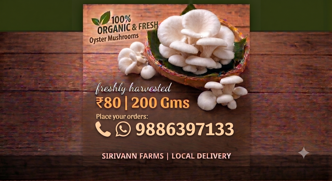 SiriVann Farms Organic Oyster Mushrooms Special Offer - 200g for 80 Rupees