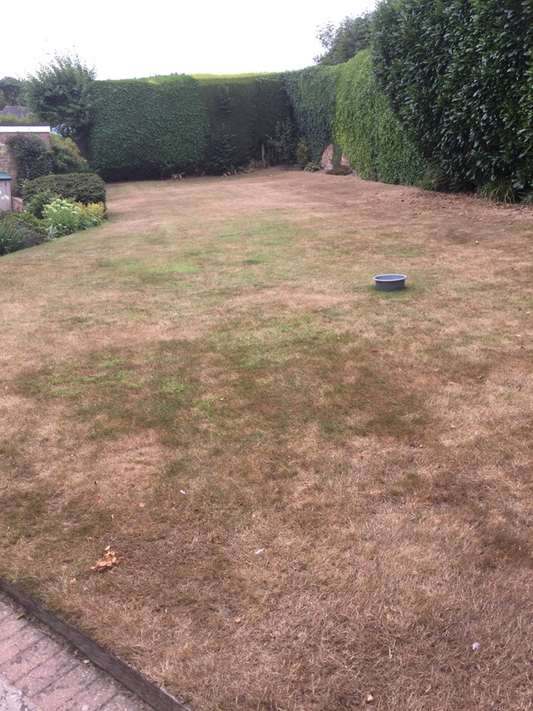 5651556E-01B0-4E82-A1F2-0C5A8C2275C9