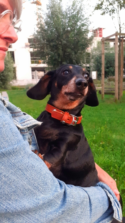 [Image: IMG-20231006-082012.jpg]