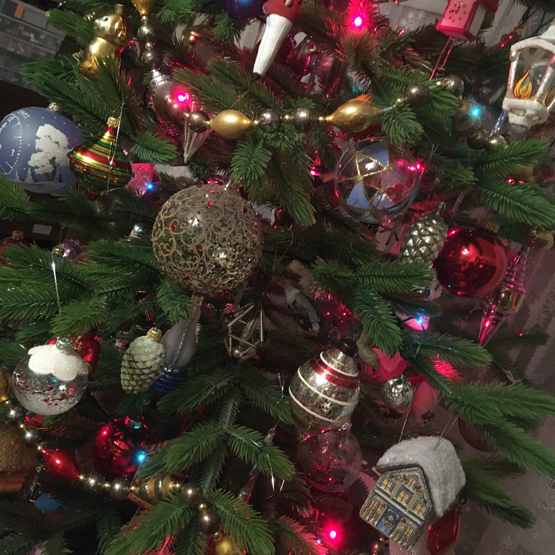 новогоднее с айфона январь 2025 055