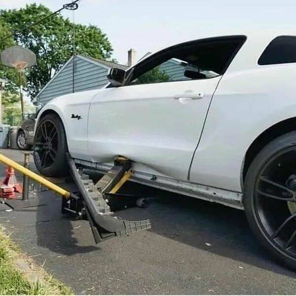 daily-picdump-24-8.jpg