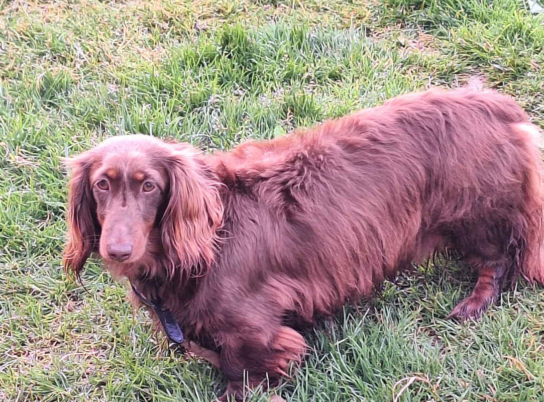 [Image: 20240426-193342.jpg]