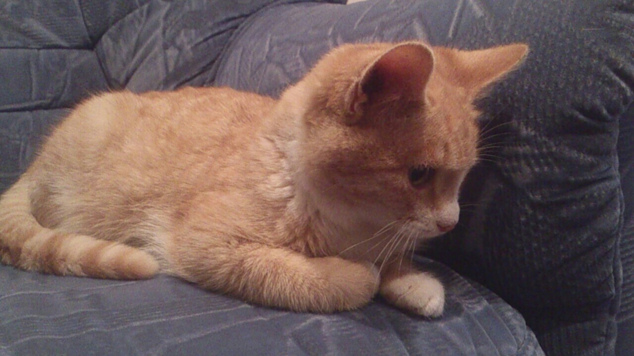 image-67c319d3bb5d632cd0e598f6741ad444213f1f5b3c