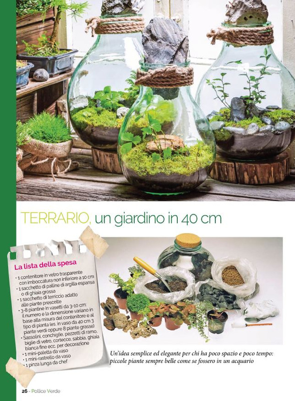 Pol Ver Lug 2021 (3)