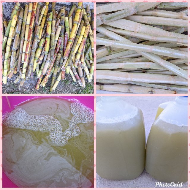 [Image: Photo-Grid-1585439458361.jpg]