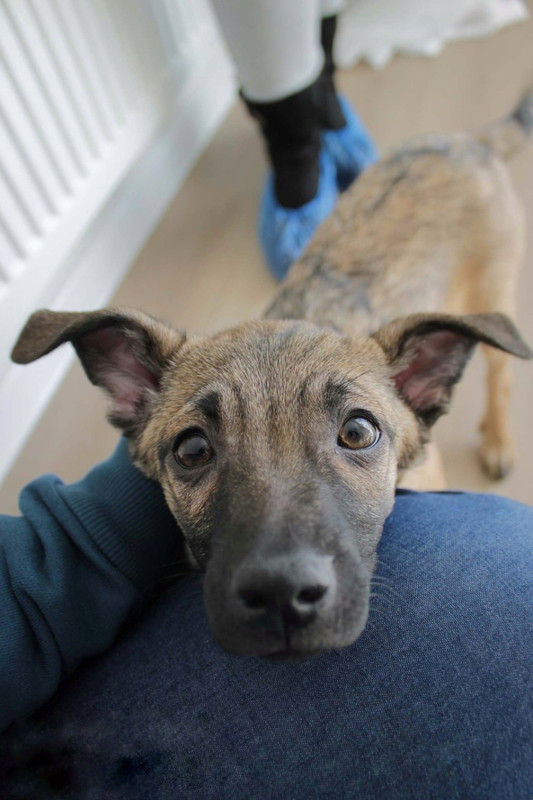 IMG-29a2f5e8d49510e49521675a84f8d662-V