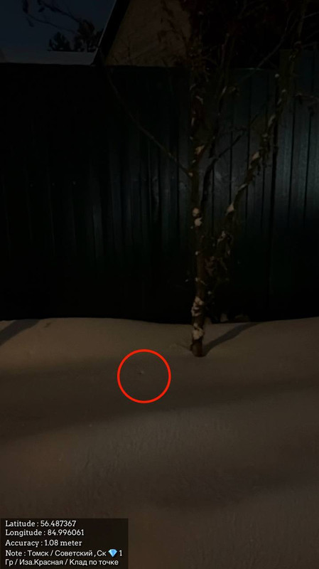 photo 2026 01 14 03 48 31