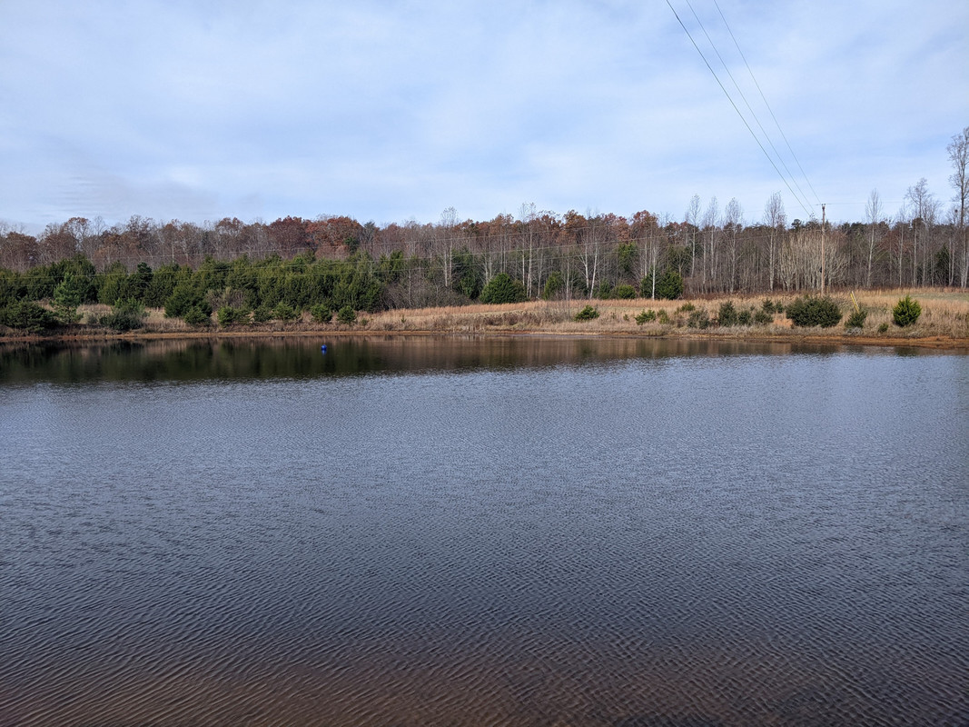PXL-20231117-144357579.jpg