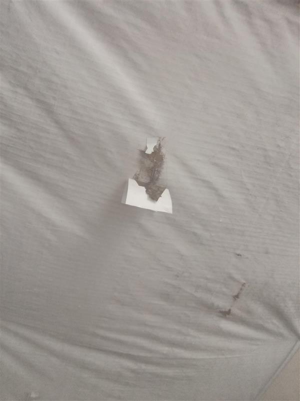 Sultan (64)