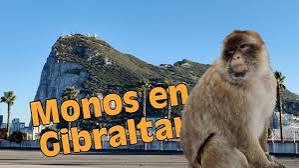 descarga-4.jpg