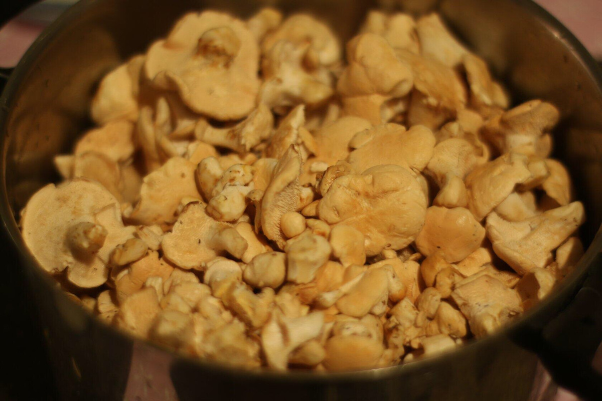 912C2447-CC85-4575-920A-11FB9C867D04