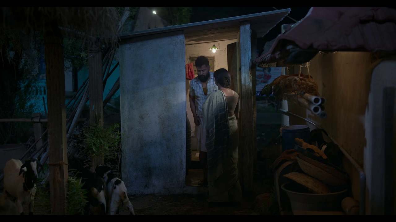 vlcsnap-2025-04-24-21h06m57s107