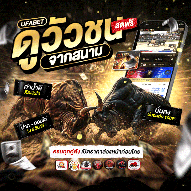 เว็บวัวชนออนไลน์