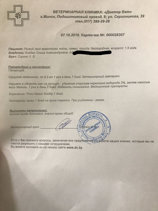 назначение терапевта