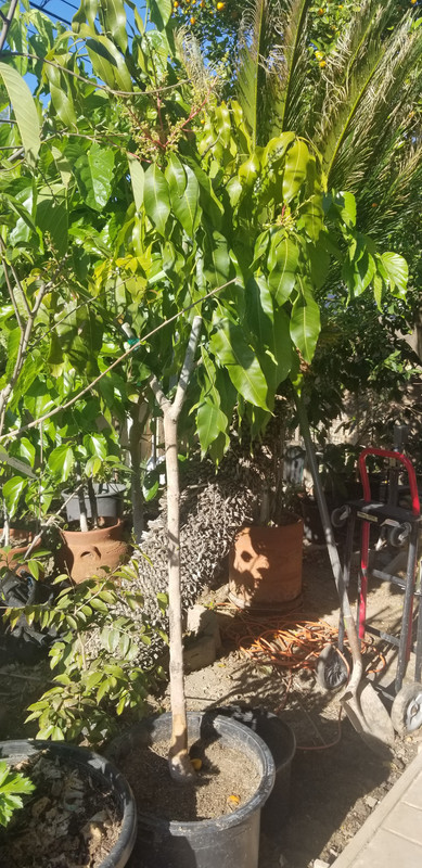 20190421_171941