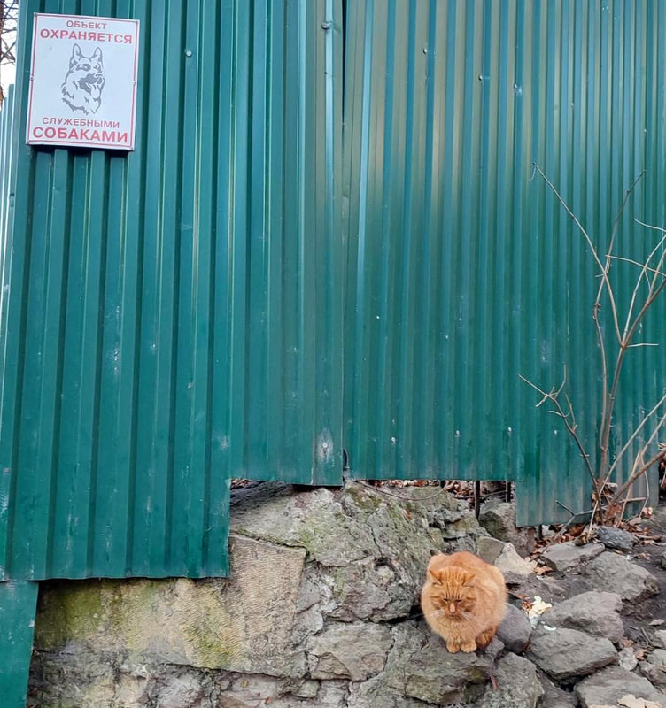 IMG-20230105-WA0005 (1)