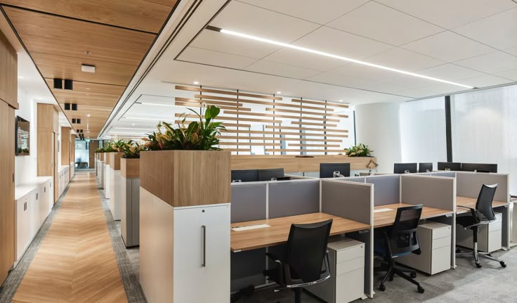 Office Spaces Construction