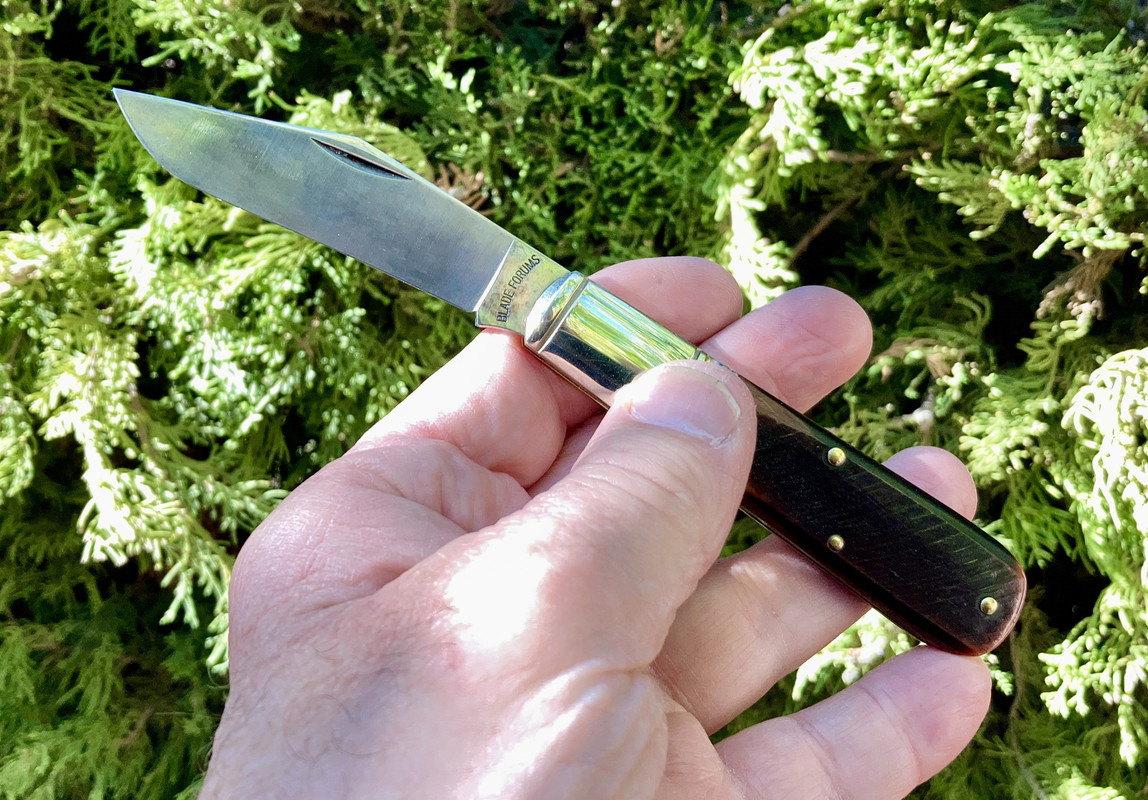 028DD6F9-4331-4FA1-86DF-0BCFE9E97678