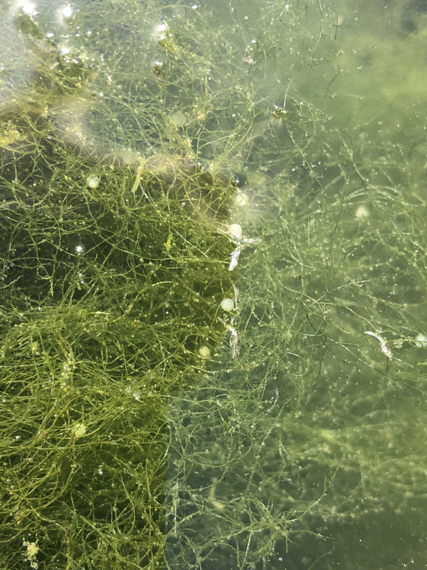 C19CF516-630D-40EE-836B-C3D59A3CB9AA