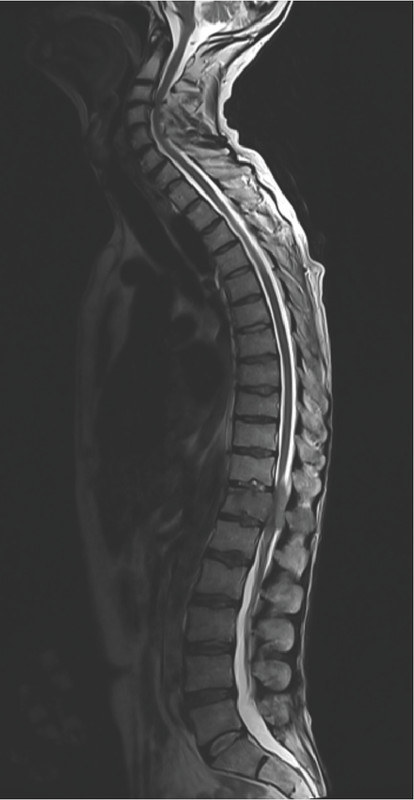 Oncology question 9 image