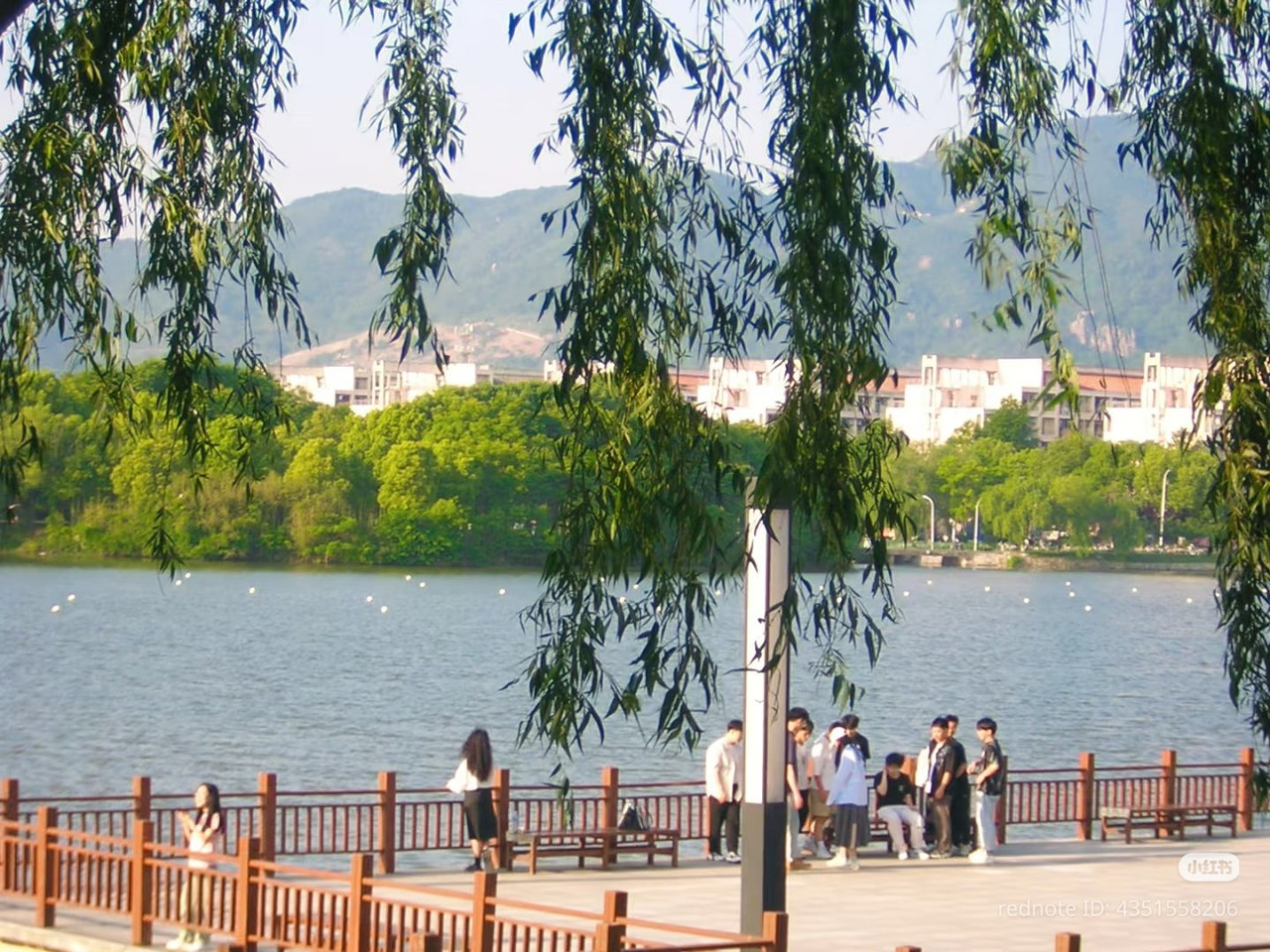 photo 4 2025 12 24 16 22 41